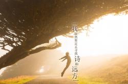 开云体育app-风车折戟安第斯之矛，厄瓜多尔三刀斩落郁金香，佩德里冷血一击终结悬念