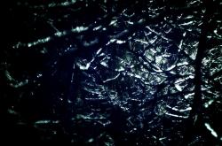 开云体育官网-平行宇宙的绿茵博弈，美国量子足球终结北欧神话，维尼修斯跨维度状态燃烧