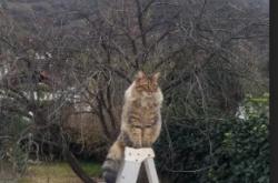 开云体育中国-百分百先生！抢七夜浓眉用一场史诗级演出打破所有质疑