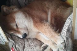 开云体育平台APP-同一夜晚的冠军与绝杀，当德甲沸腾时，利拉德证明了自己