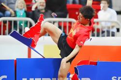 开云体育平台APP-中国乒乓球队血洗德国乒乓球队，张继科打破历史纪录的简单介绍