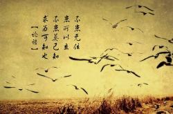 开云体育中国-两种体系的韧性，卡瓦哈尔创纪录与安哥拉打穿雷恩背后的足球叙事