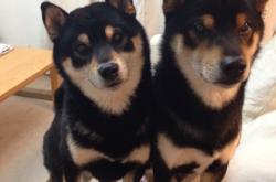 开云体育app-全球聚焦！两场决胜局见证两种王者逻辑