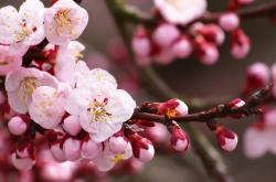 开云体育入口-双线作战的东方试金石，当武切维奇的灵魂锁匠遇上山西的沉默城墙