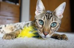 开云sport-唯一先生