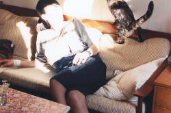 开云sport-当凯尔特人带走鹈鹕，哈利伯顿在奥运周期的时空接管