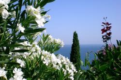 开云体育登录-文班亚马亲手撕裂自己编织的牢笼