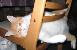 开云体育app-卡塔尔时间，阿克用压哨绝杀为足球地理学改写的夜晚