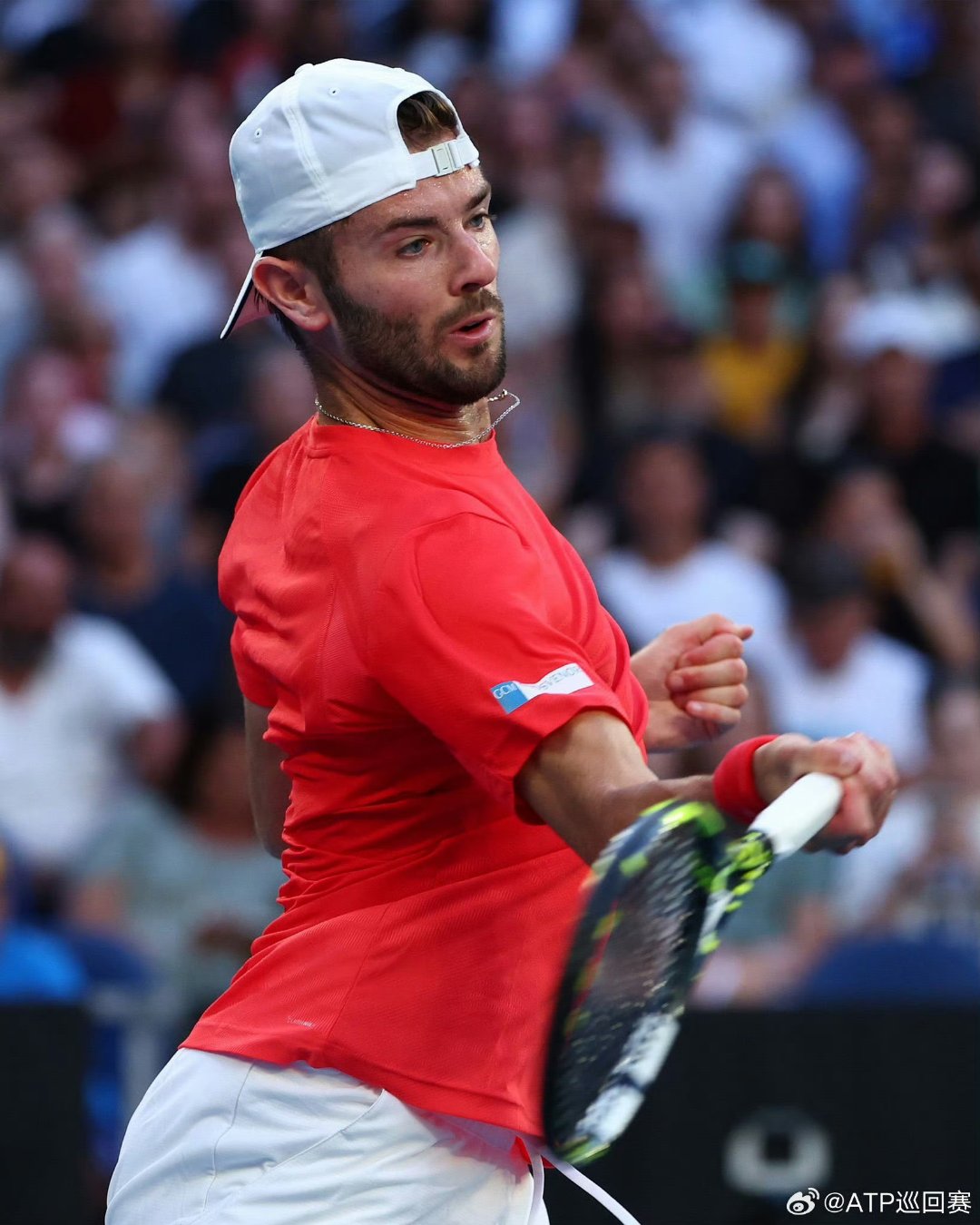 世界网球队逆转英国网球队,克耶高斯一己之力扛起全队 世界网球队逆转英国网球队,克耶高斯一己之力扛起全队