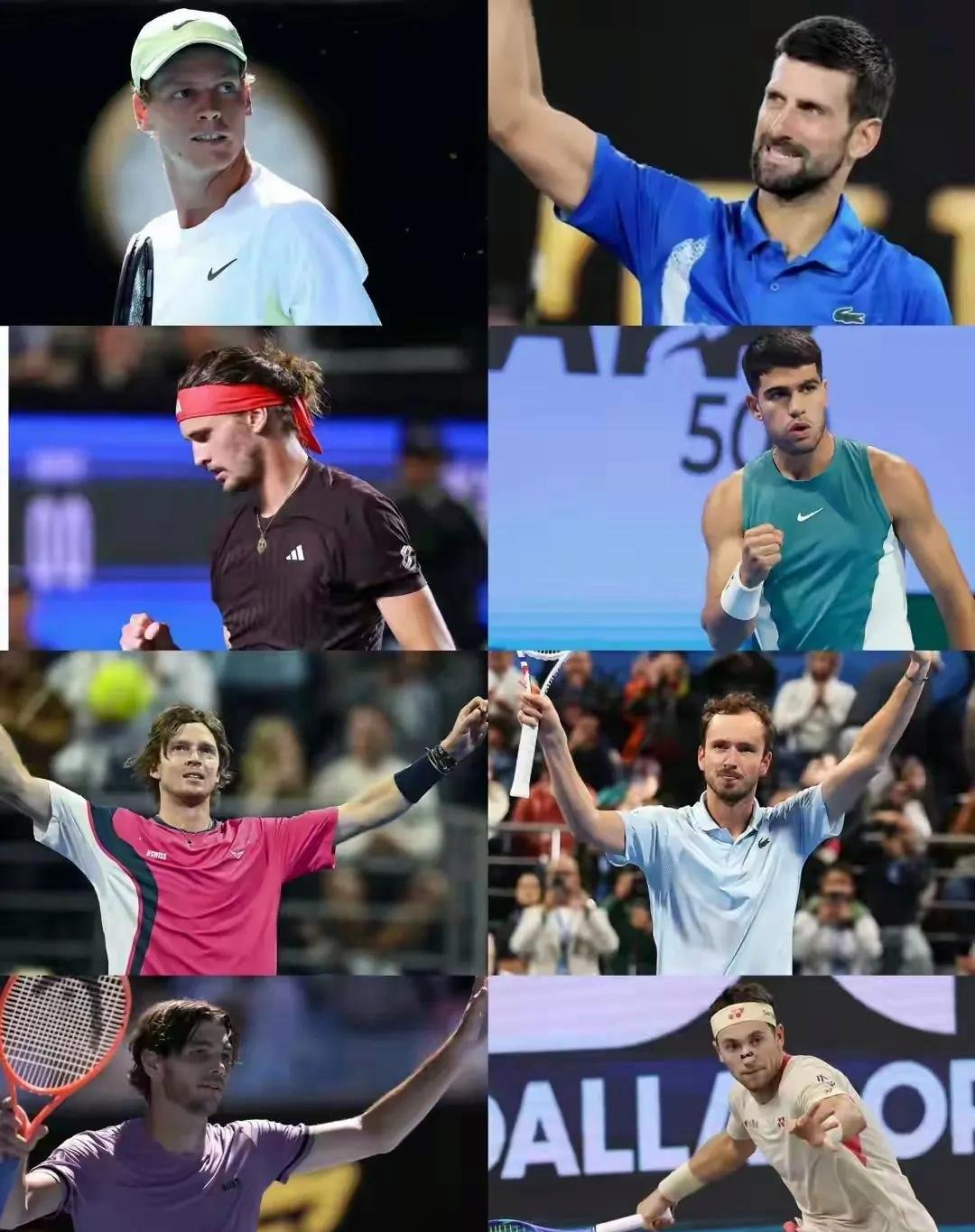 法国网球队横扫世界网球队，德约科维奇统治全场的简单介绍