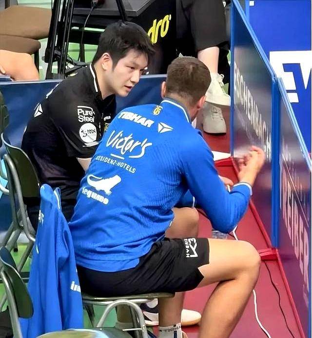 比利时乒乓球队翻盘英国乒乓球队，樊振东制霸全场的简单介绍