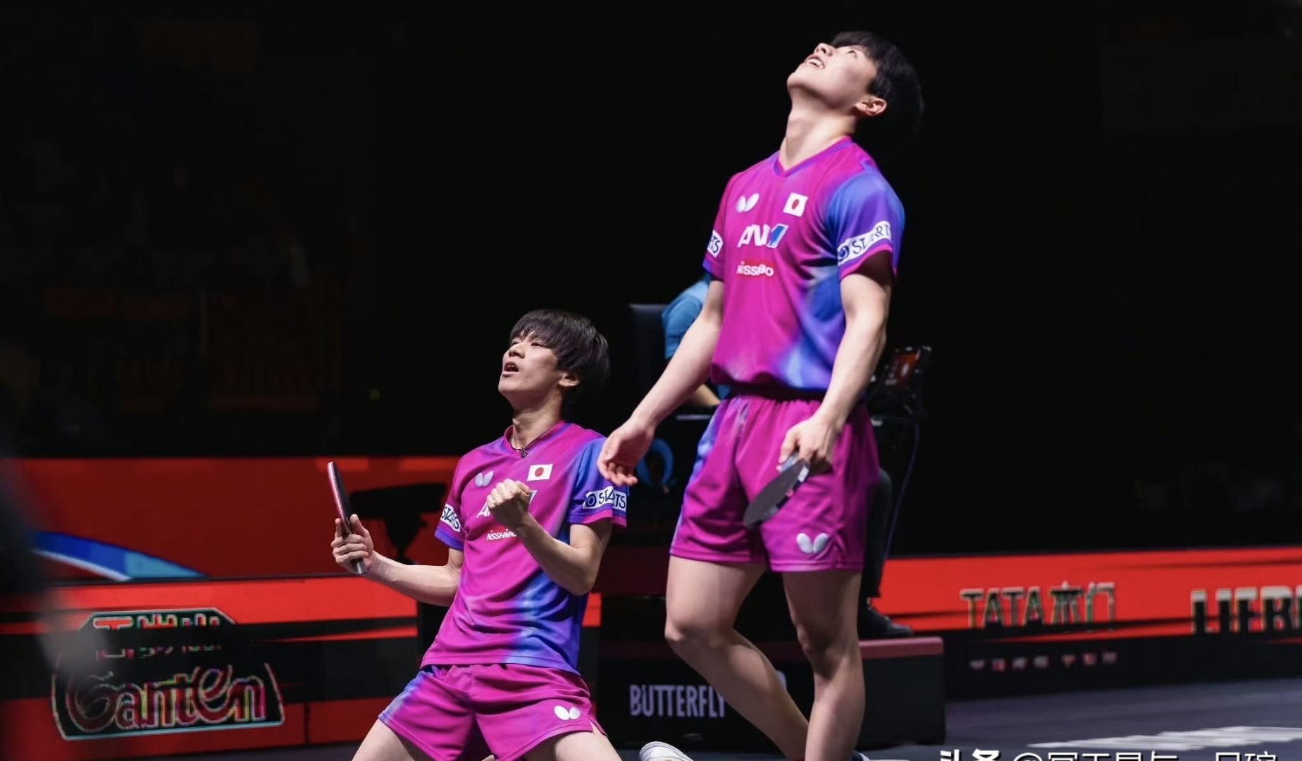 包含比利时乒乓球队血洗波兰乒乓球队,张本智和绝境逆转的词条 包含比利时乒乓球队血洗波兰乒乓球队,张本智和绝境逆转的词条