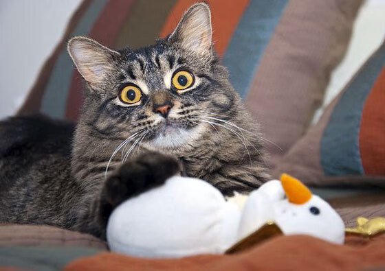 惊天逆转！马琳关键一锤铸就丹麦传奇