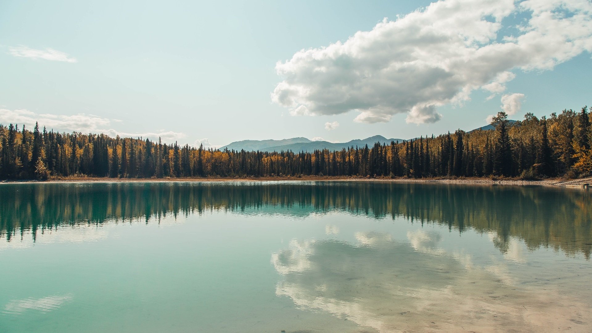 烽火伊斯坦布尔,阿什拉夫单骑破风车,土耳其掀起橙色风暴
