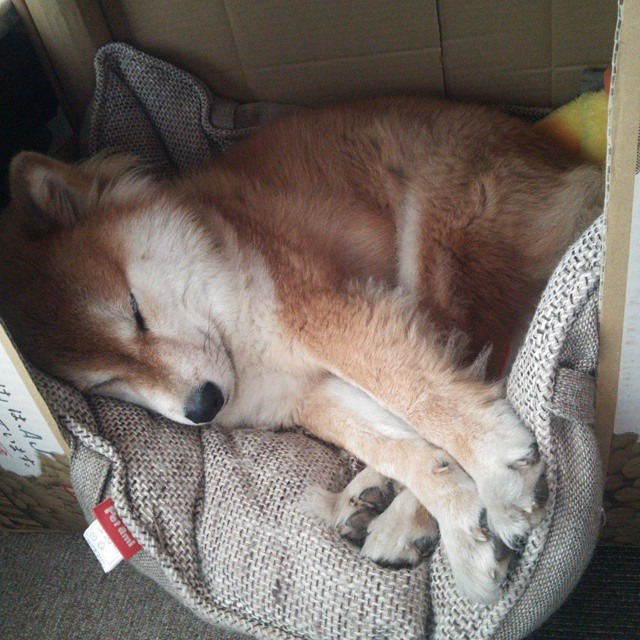 同一夜晚的冠军与绝杀，当德甲沸腾时，利拉德证明了自己