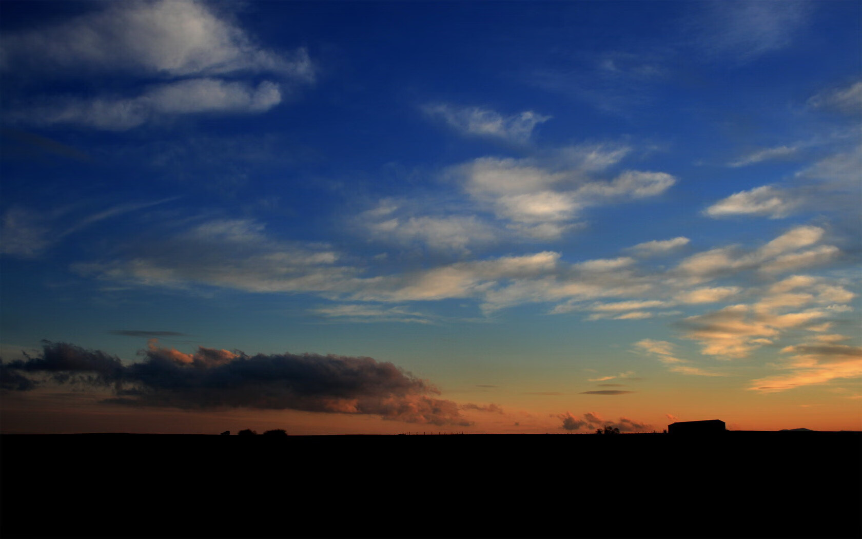胜利密码,从黄蜂的团队风暴到福克斯的致命尖牙