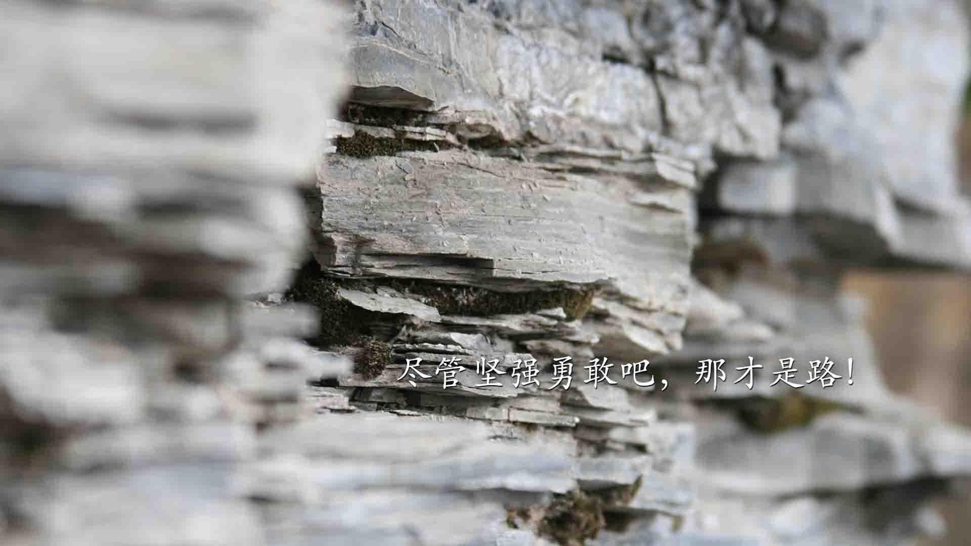 巴尔韦德凌晨破局,当晨光刺透马赛的钢铁防线