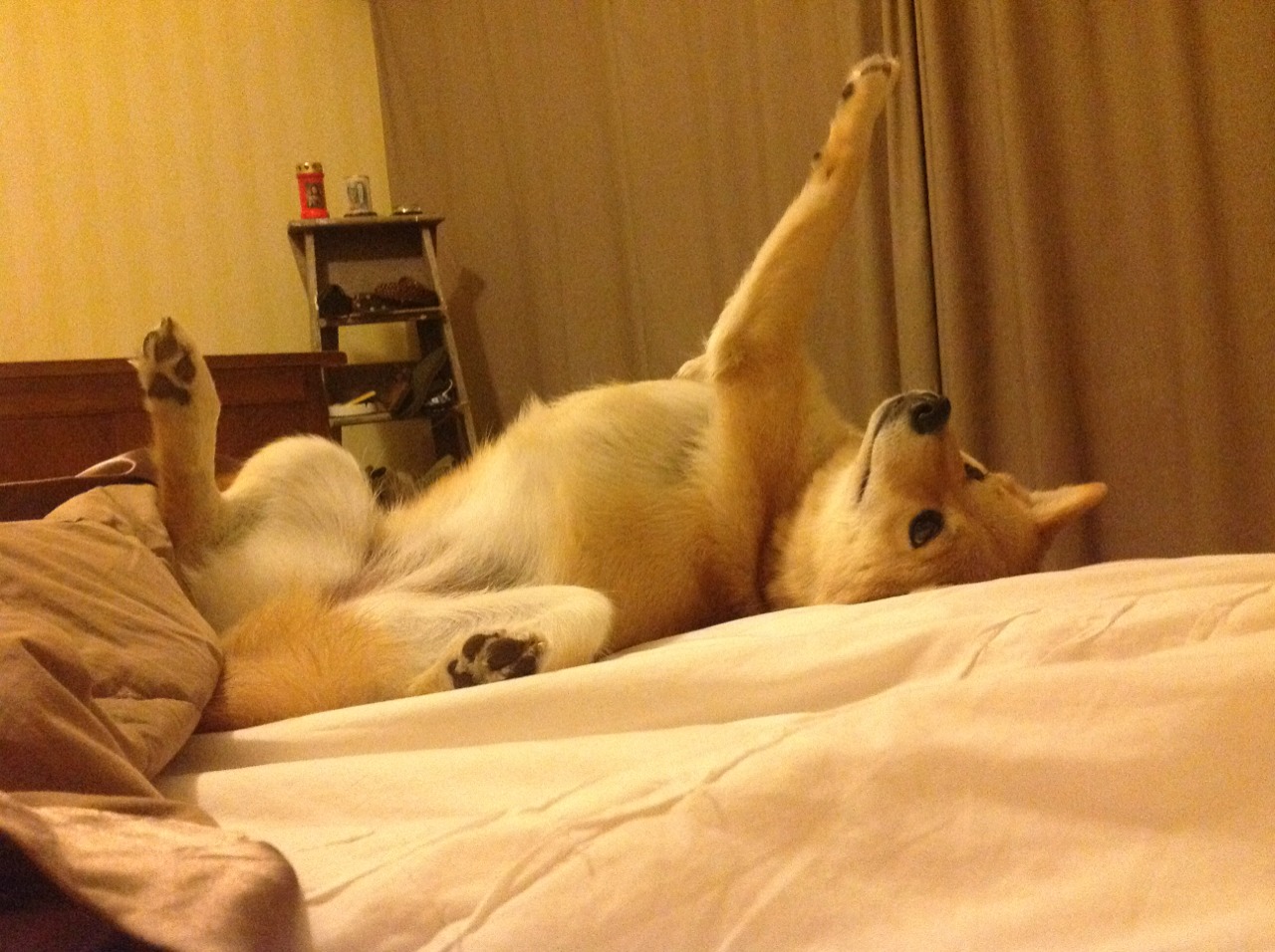 冰与火之歌，快船精密战术冻结湖人，字母哥炽热天赋燃爆赛场