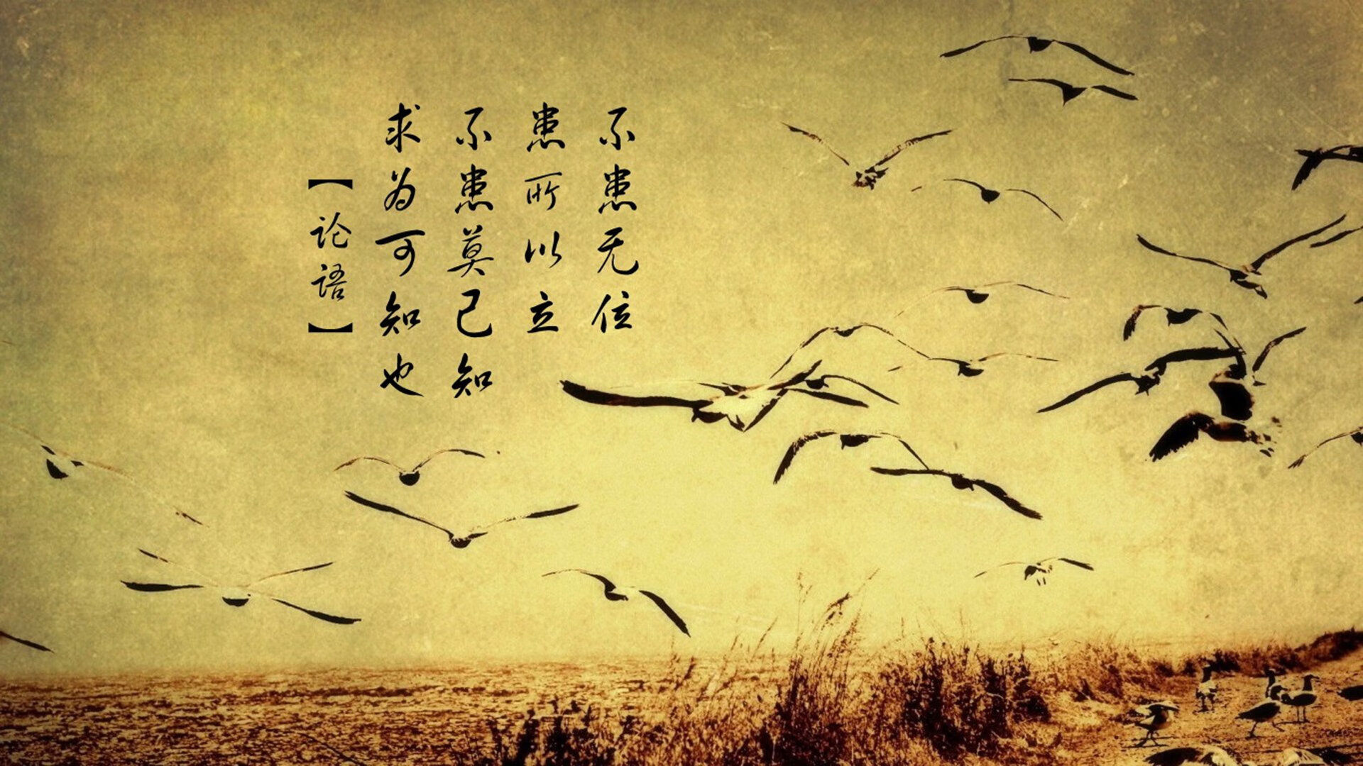 北欧海盗击沉红色战舰!努涅斯独造三球缔造历史