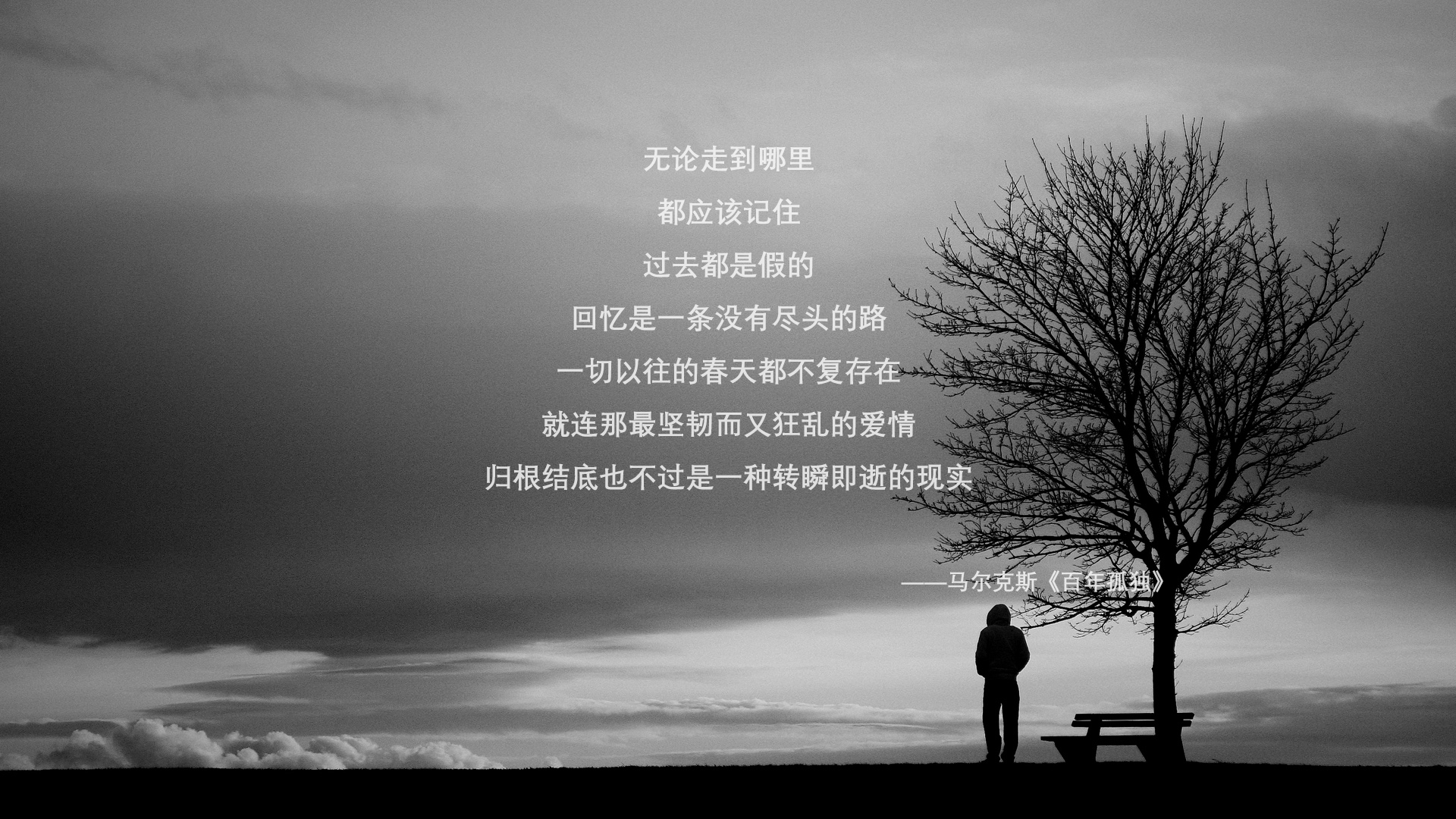 核心之力与单节风暴,团队领袖与瞬间爆发的双重奏