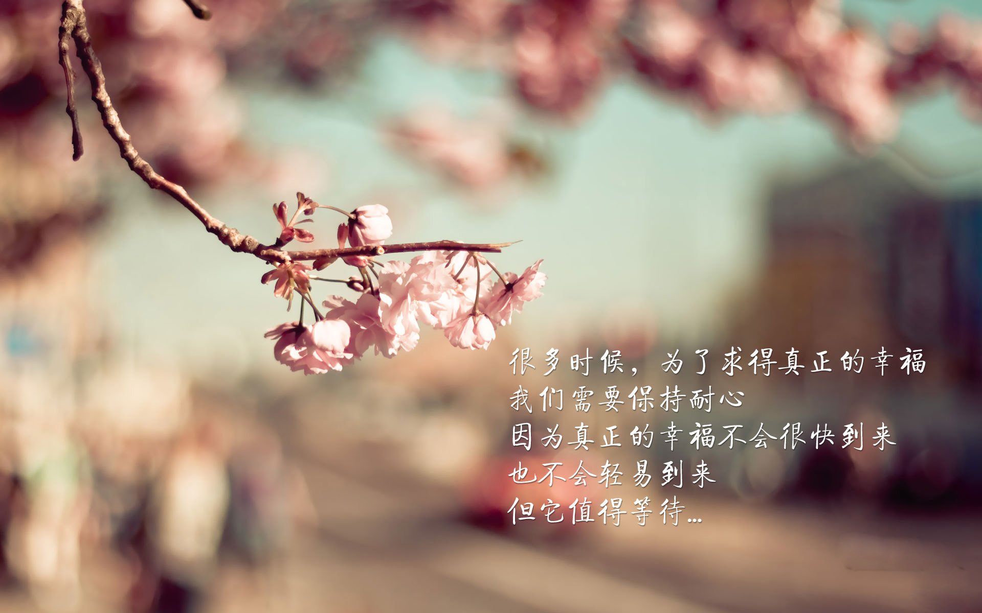 活塞终结森林狼?不,是莫兰特用节奏一票否决