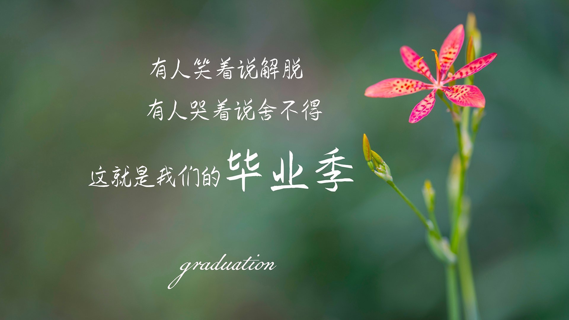 定海神针！意甲焦点战之夜的德里赫特，上演防守教科书