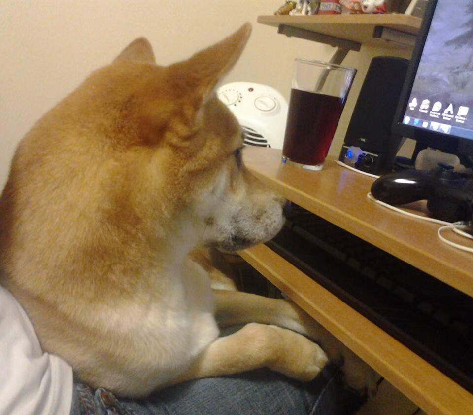 燃烧之夜的金线，布鲁诺一瞬编织永恒