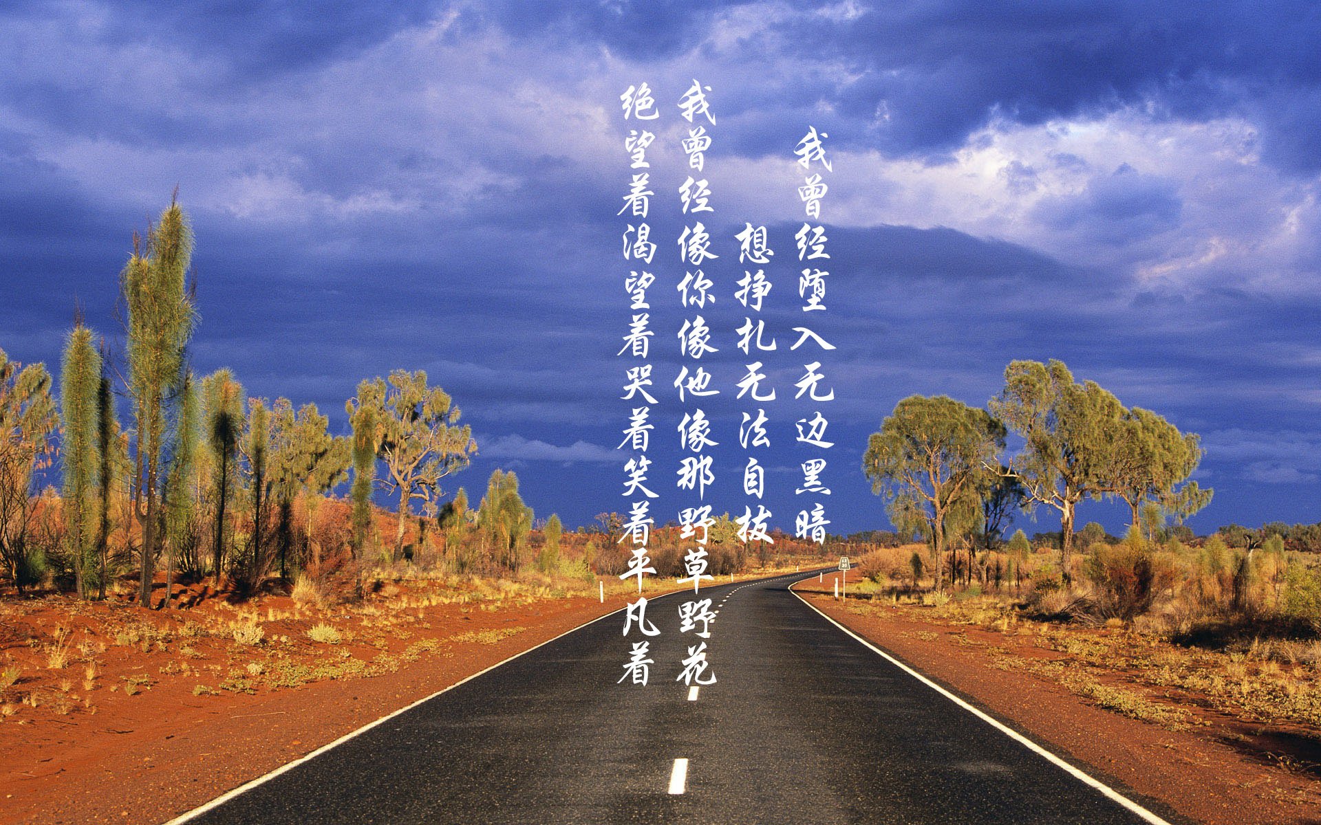 曼城惊涛骇浪中前行,蒂亚戈一球定乾坤