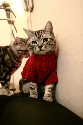 不是偶然的救赎，克莱·汤普森爆发之夜，骑士以团队之名提前终结悬念