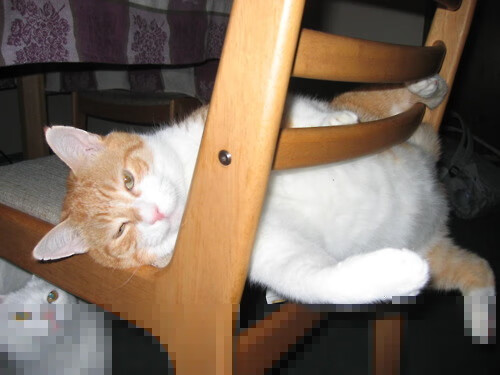 卡塔尔时间,阿克用压哨绝杀为足球地理学改写的夜晚