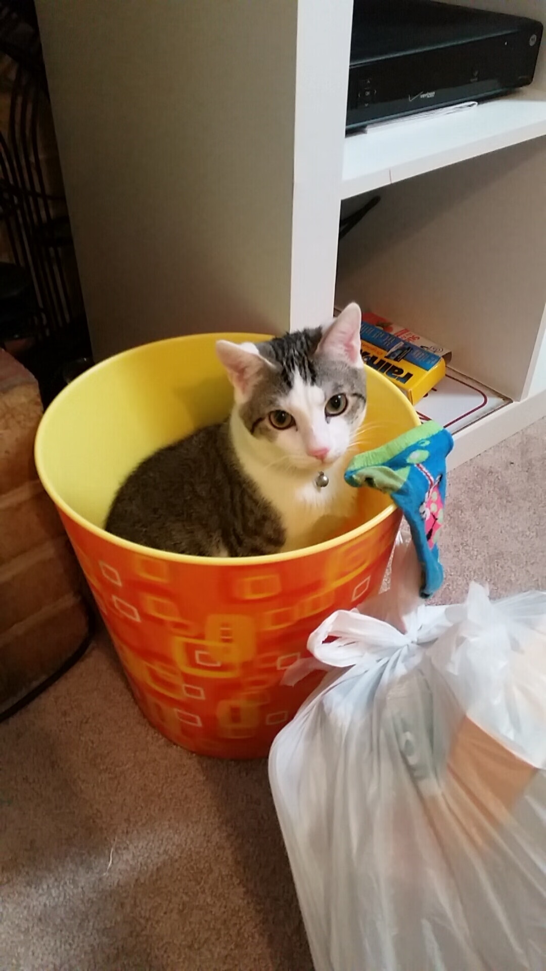 当德甲遇上哈登,争冠战之夜,全场评分拉满的传奇