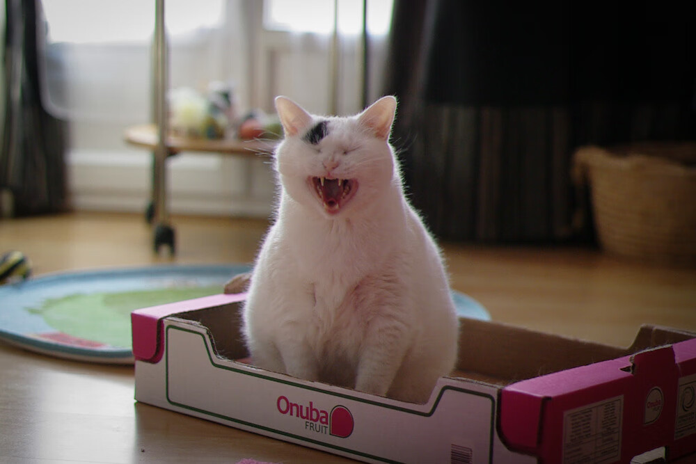 速度与高度，双线战场上的终极博弈