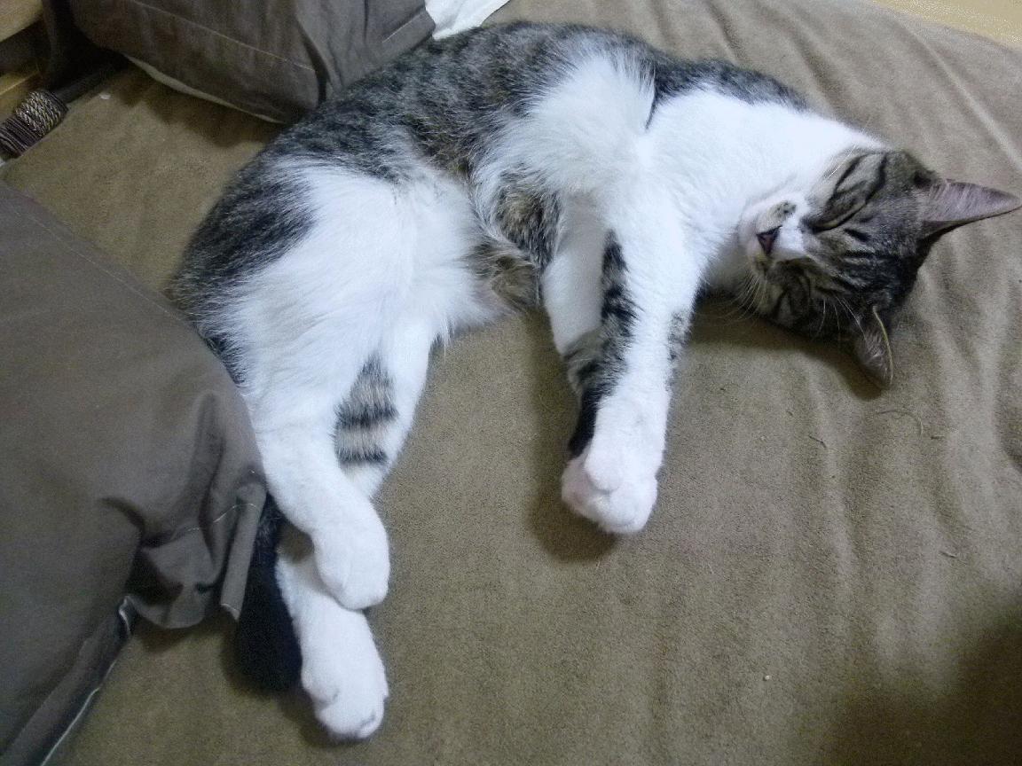 意甲焦点战之夜，刺破寂静的匕首，伊萨克关键战不手软