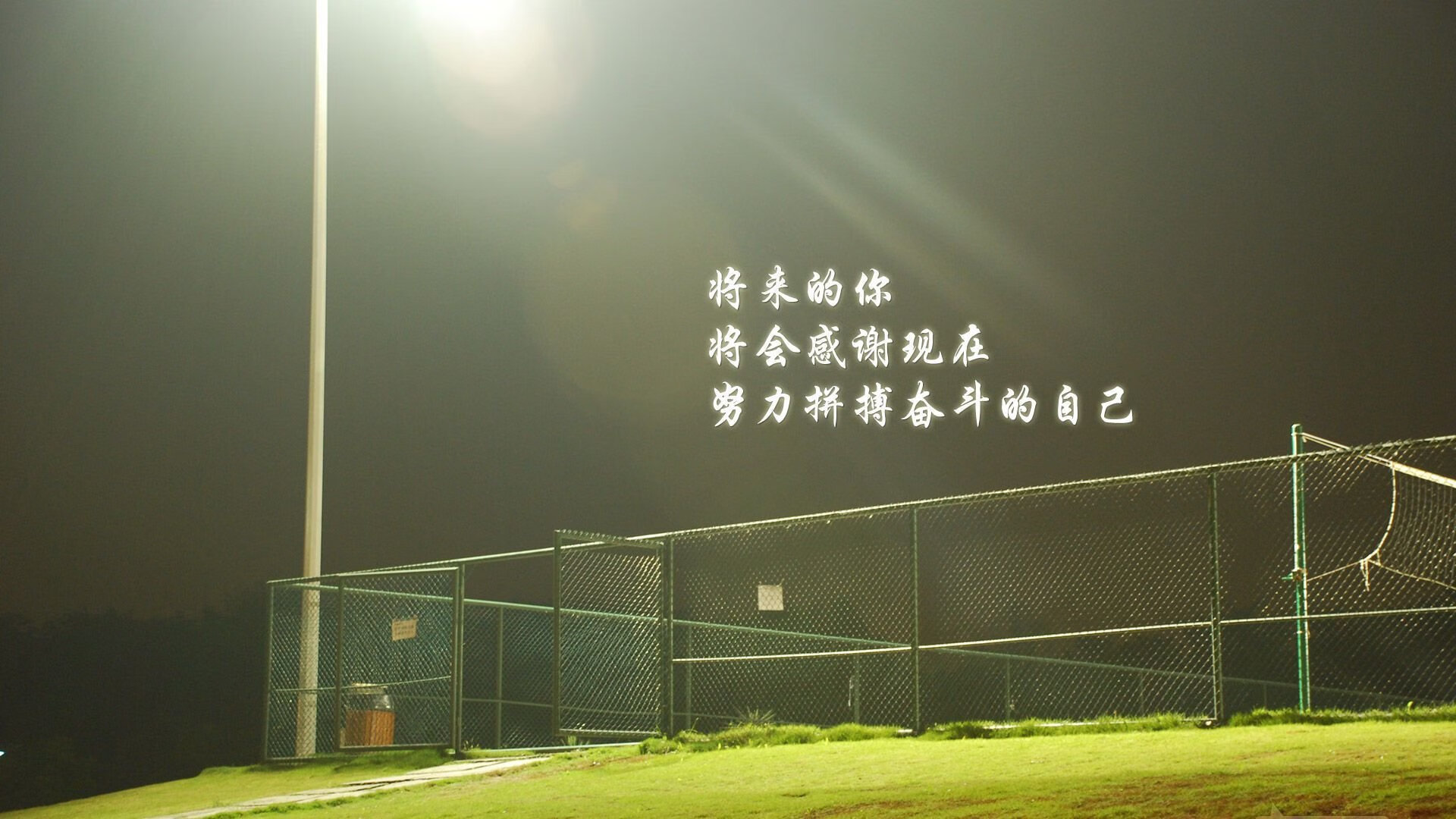绿茵孤勇者,布罗佐维奇的火热之心,点燃丹麦与厄瓜多尔的生死战