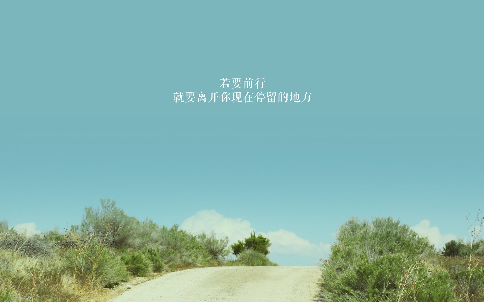 喀麦隆之狮震碎波兰铁骑，贝林厄姆独舞中场的绝世之夜—2026世界杯B组强强对话全纪实