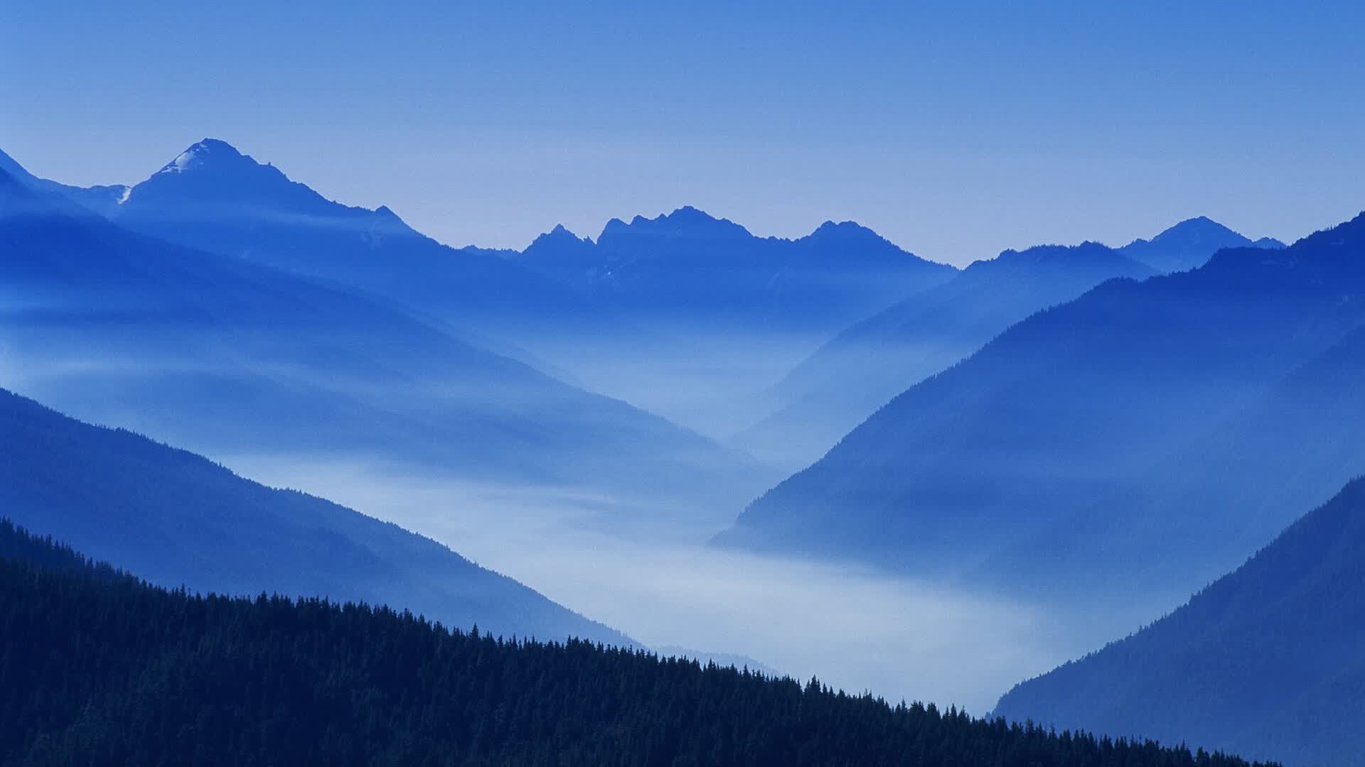 镜像2026，当登贝莱的弧线刺穿夜空，卡塔尔用临场智慧重写世界杯剧本